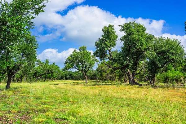 33.3 Acres of Land for Sale in Fredericksburg, Texas