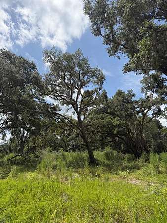 1.72 Acres of Residential Land for Sale in Old Town, Florida