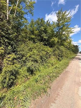 12.5 Acres of Recreational & Residential Land for Sale in Rock Creek, Ohio