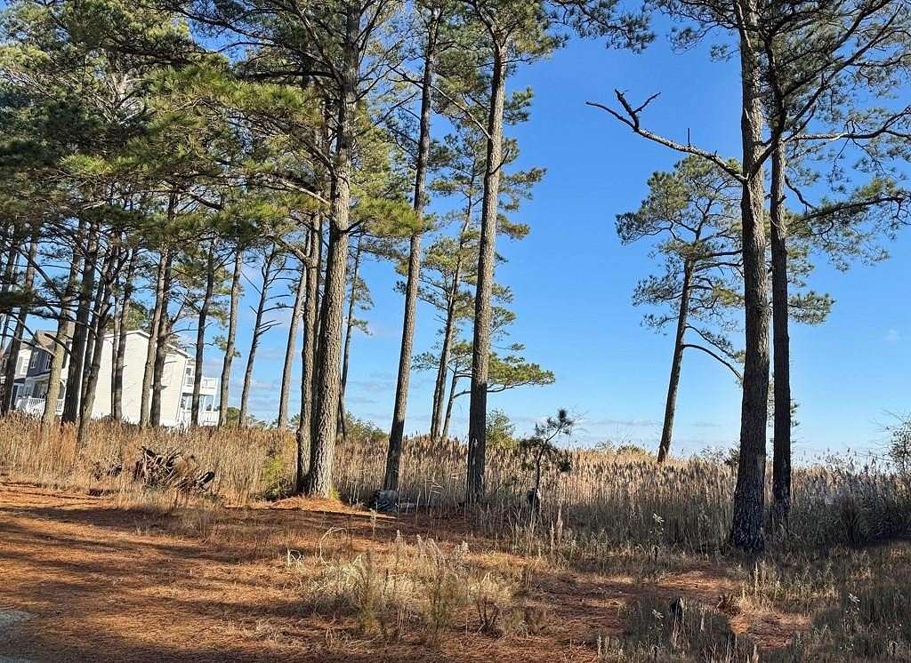 0.19 Acres of Residential Land for Sale in Greenbackville, Virginia