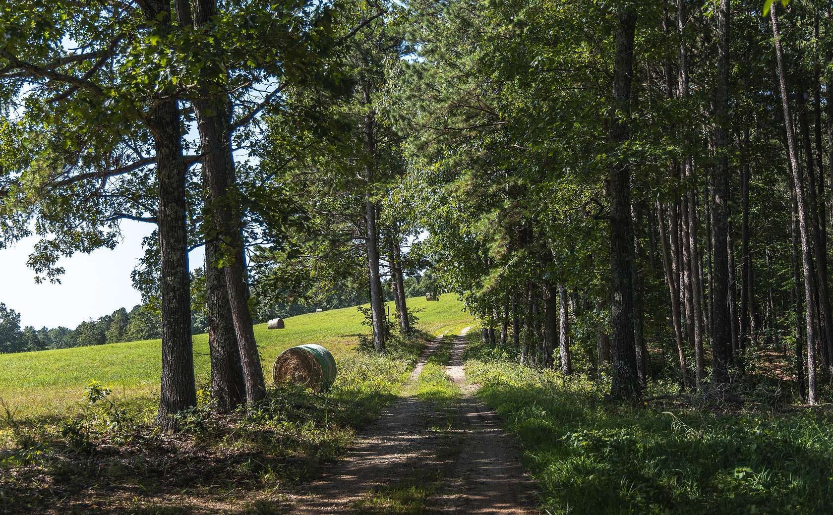 47.1 Acres of Recreational & Residential Land for Sale in Norwood, Missouri