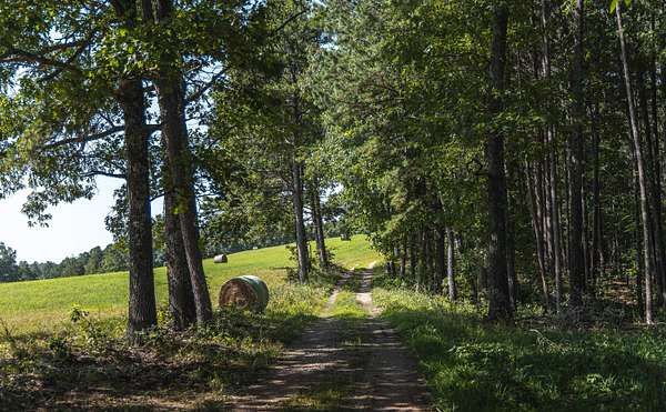47.1 Acres of Recreational & Residential Land for Sale in Norwood, Missouri