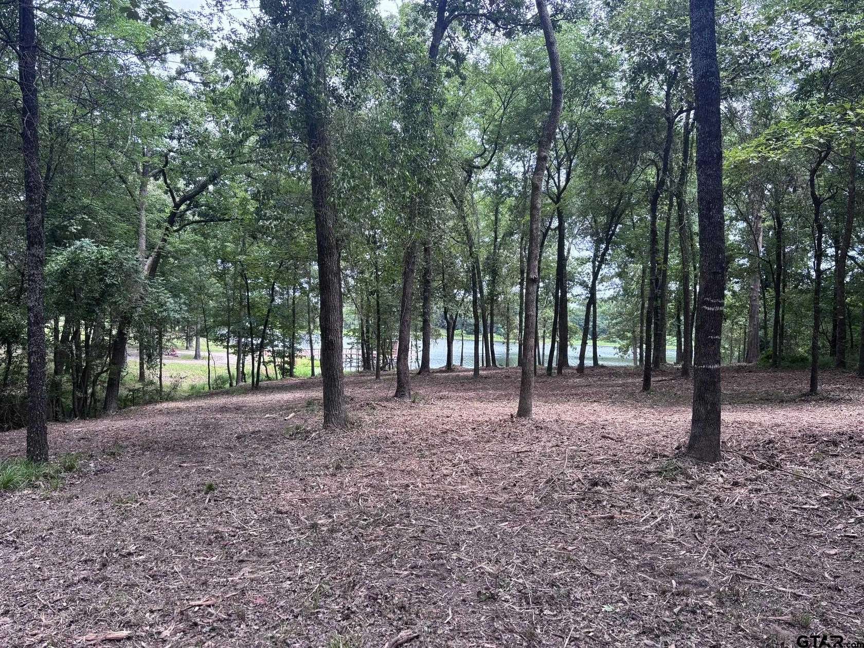 0.52 Acres of Residential Land for Sale in Alba, Texas