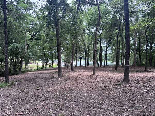 0.52 Acres of Residential Land for Sale in Alba, Texas