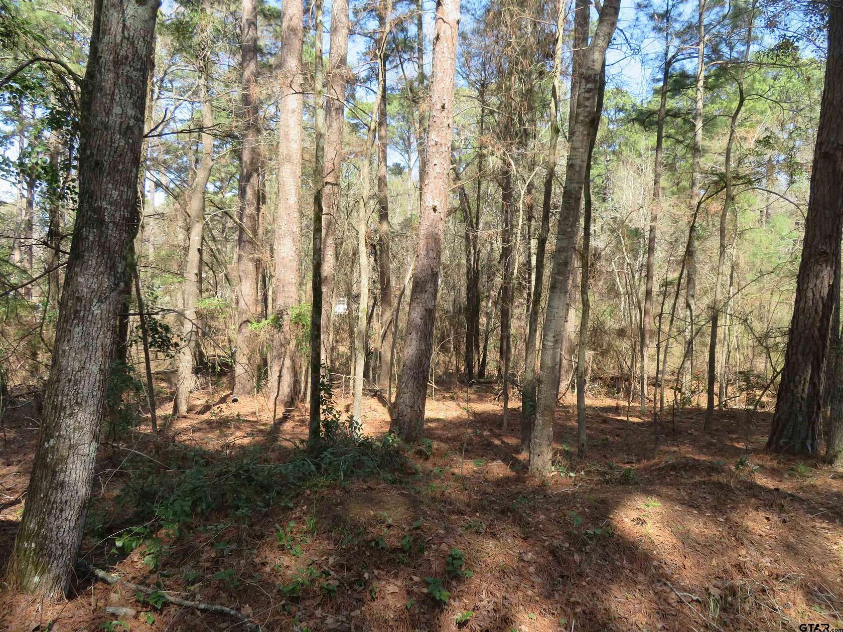 0.29 Acres of Land for Sale in Flint, Texas