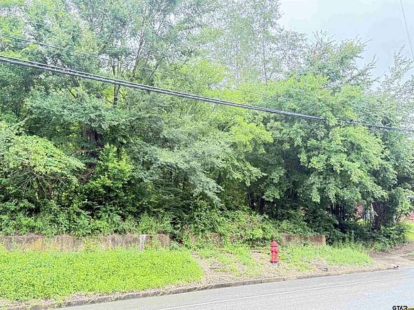 0.87 Acres of Residential Land for Sale in Rusk, Texas