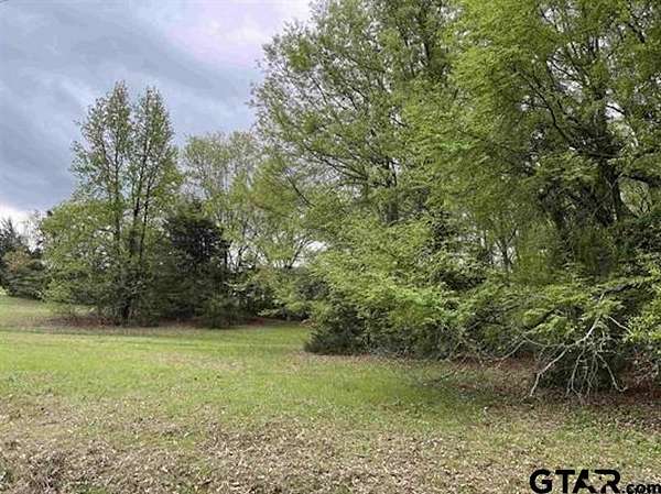 0.33 Acres of Land for Sale in Mount Vernon, Texas