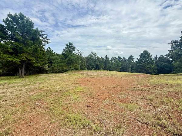1.17 Acres of Residential Land for Sale in Winona, Texas