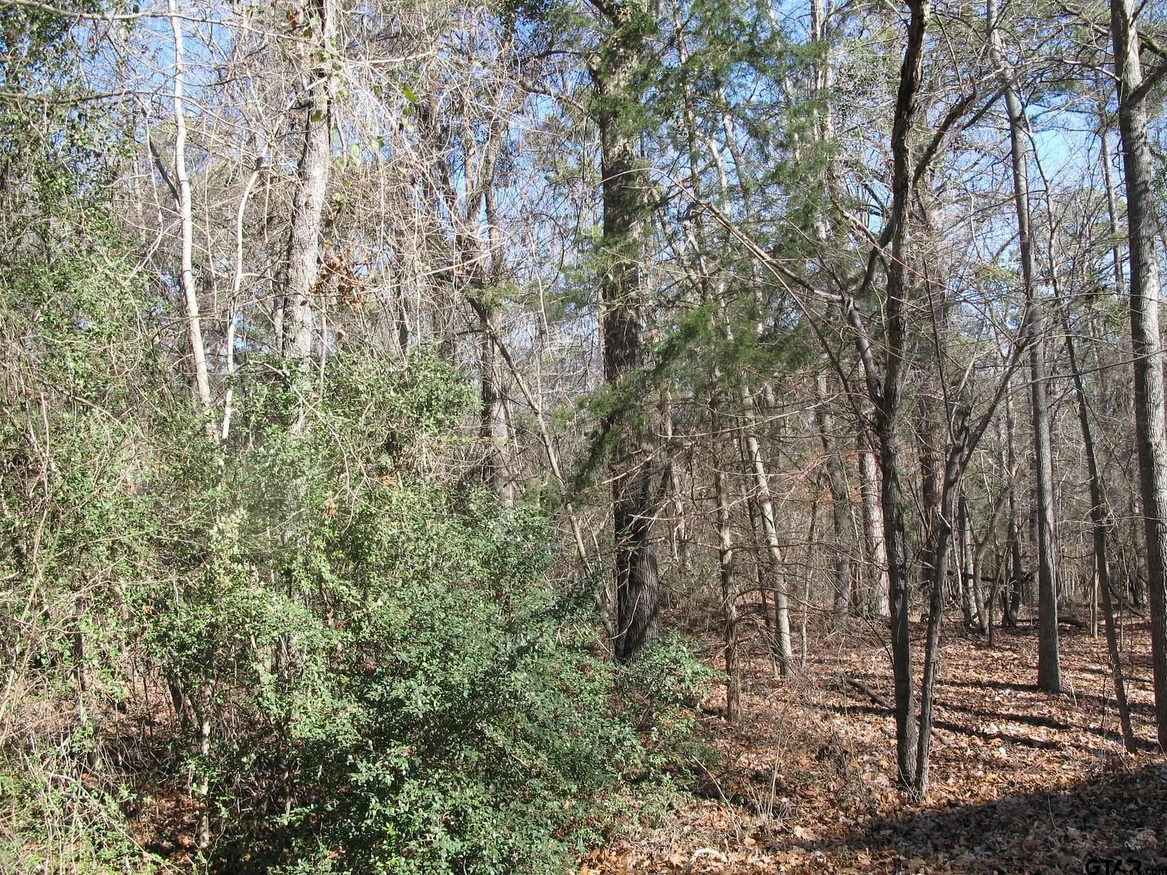 1.5 Acres of Residential Land for Sale in Tyler, Texas