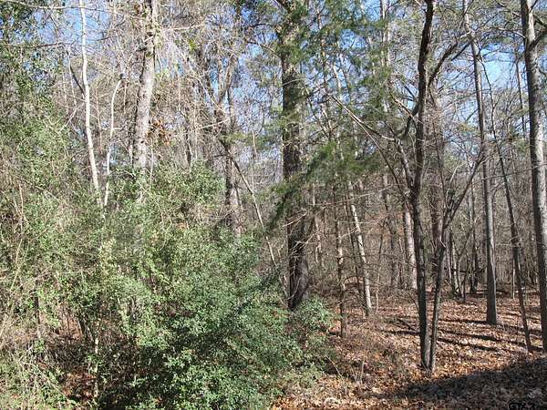 1.5 Acres of Residential Land for Sale in Tyler, Texas