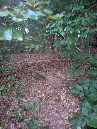 0.21 Acres of Land for Sale in Murchison, Texas