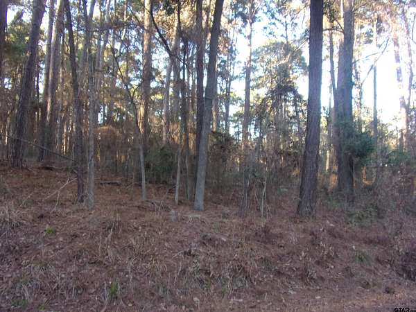 0.22 Acres of Residential Land for Sale in Flint, Texas