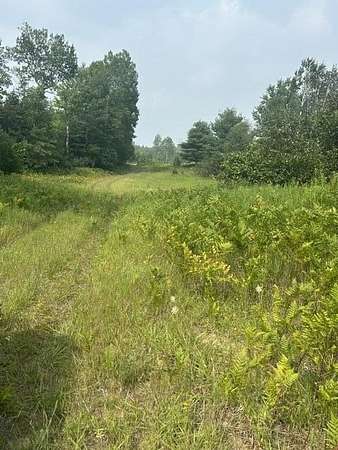 16.4 Acres of Land for Sale in Reed City, Michigan