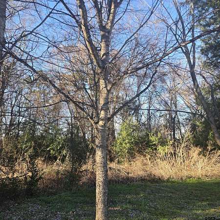 1 Acre of Residential Land for Sale in Bullard, Texas