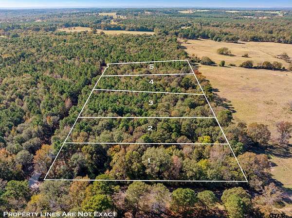 11.7 Acres of Land for Sale in Troup, Texas