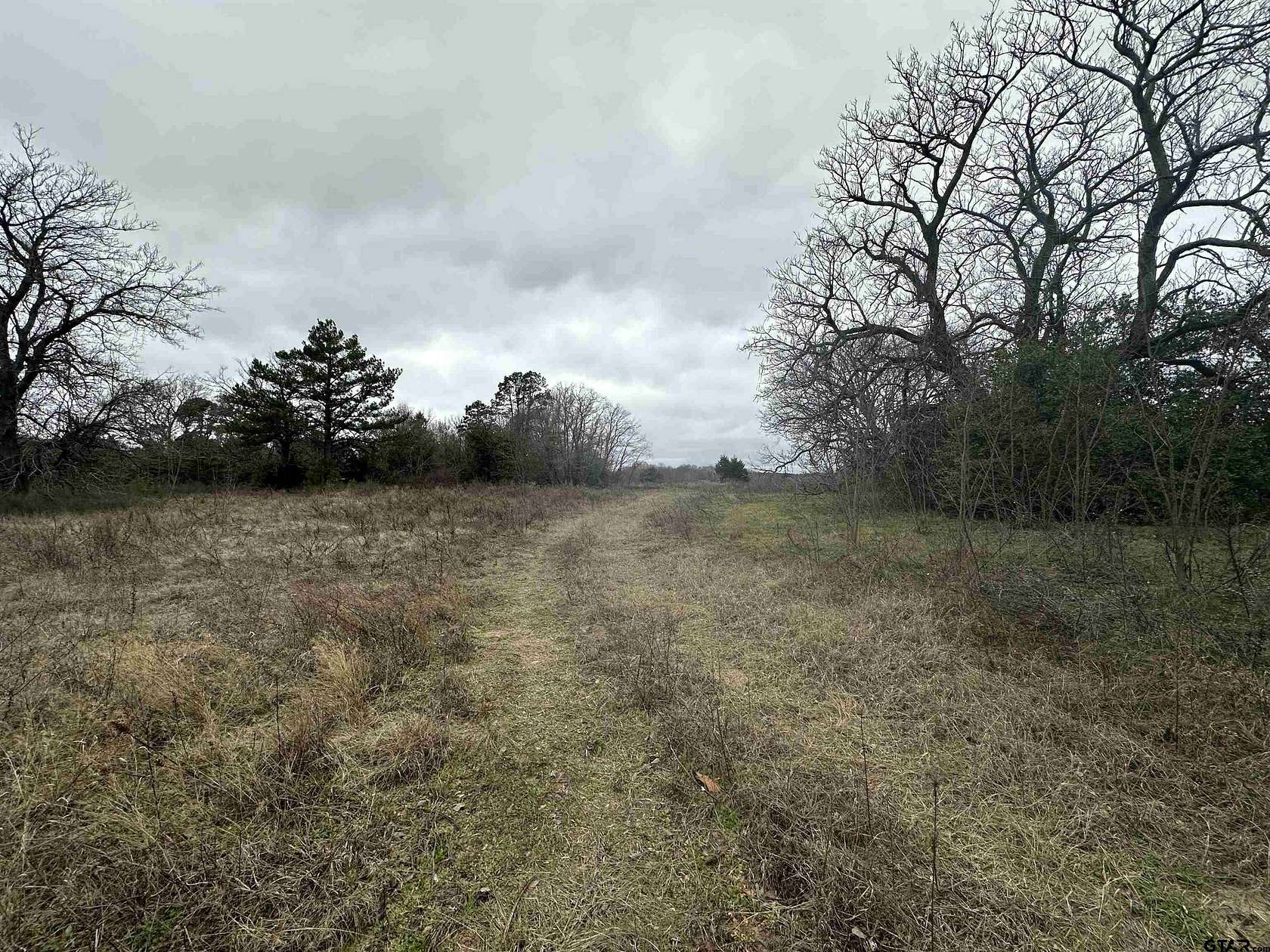 20 Acres of Land for Sale in Lindale, Texas