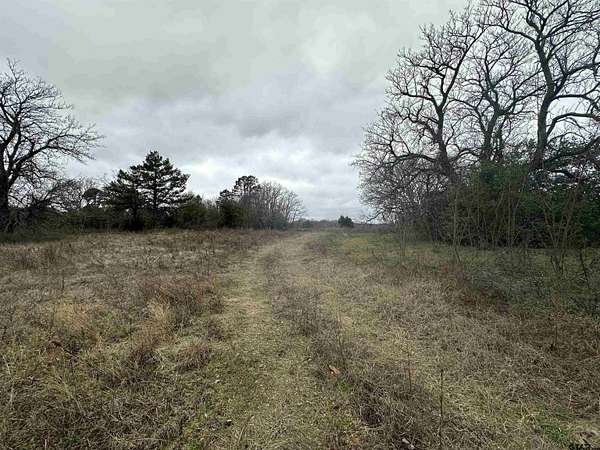 20 Acres of Land for Sale in Lindale, Texas