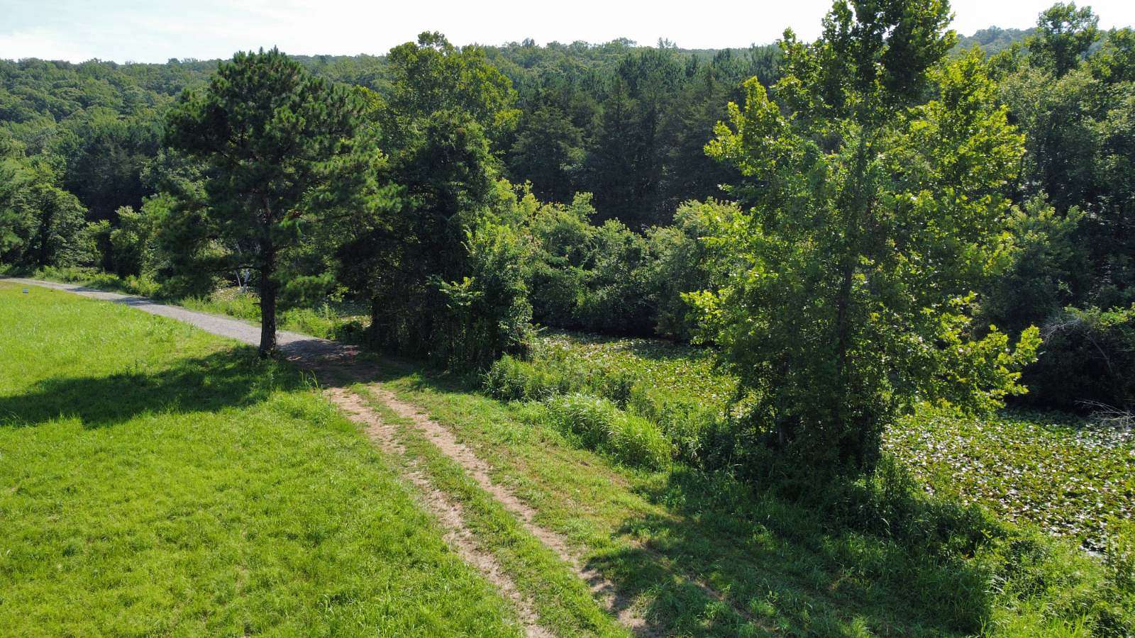 5 Acres of Land for Sale in Ozark, Arkansas