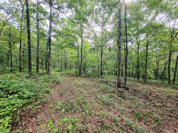 3 Acres of Residential Land for Sale in McEwen, Tennessee