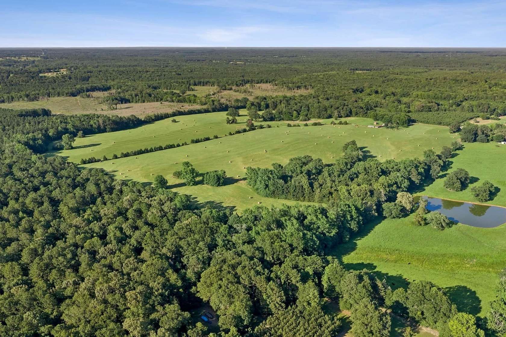 83.5 Acres of Land for Sale in Atlanta, Texas