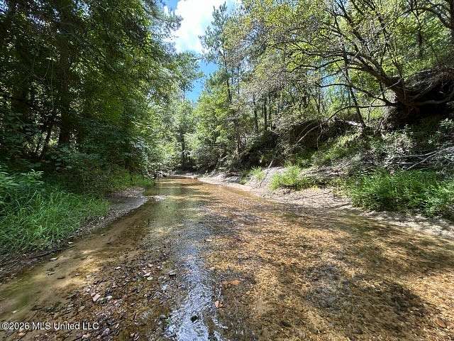 8 Acres of Agricultural Land for Sale in McCall Creek, Mississippi