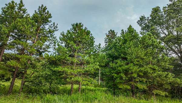 79 Acres of Land for Sale in Osceola, Missouri