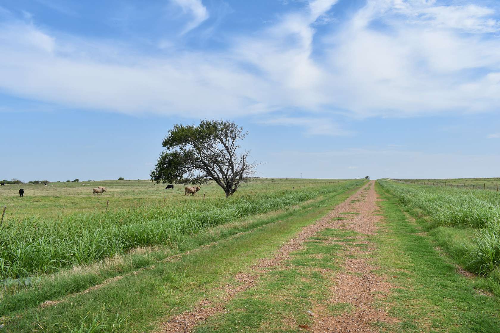 160 Acres of Agricultural Land for Auction in Temple, Oklahoma