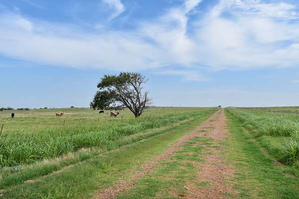 160 Acres of Agricultural Land for Auction in Temple, Oklahoma