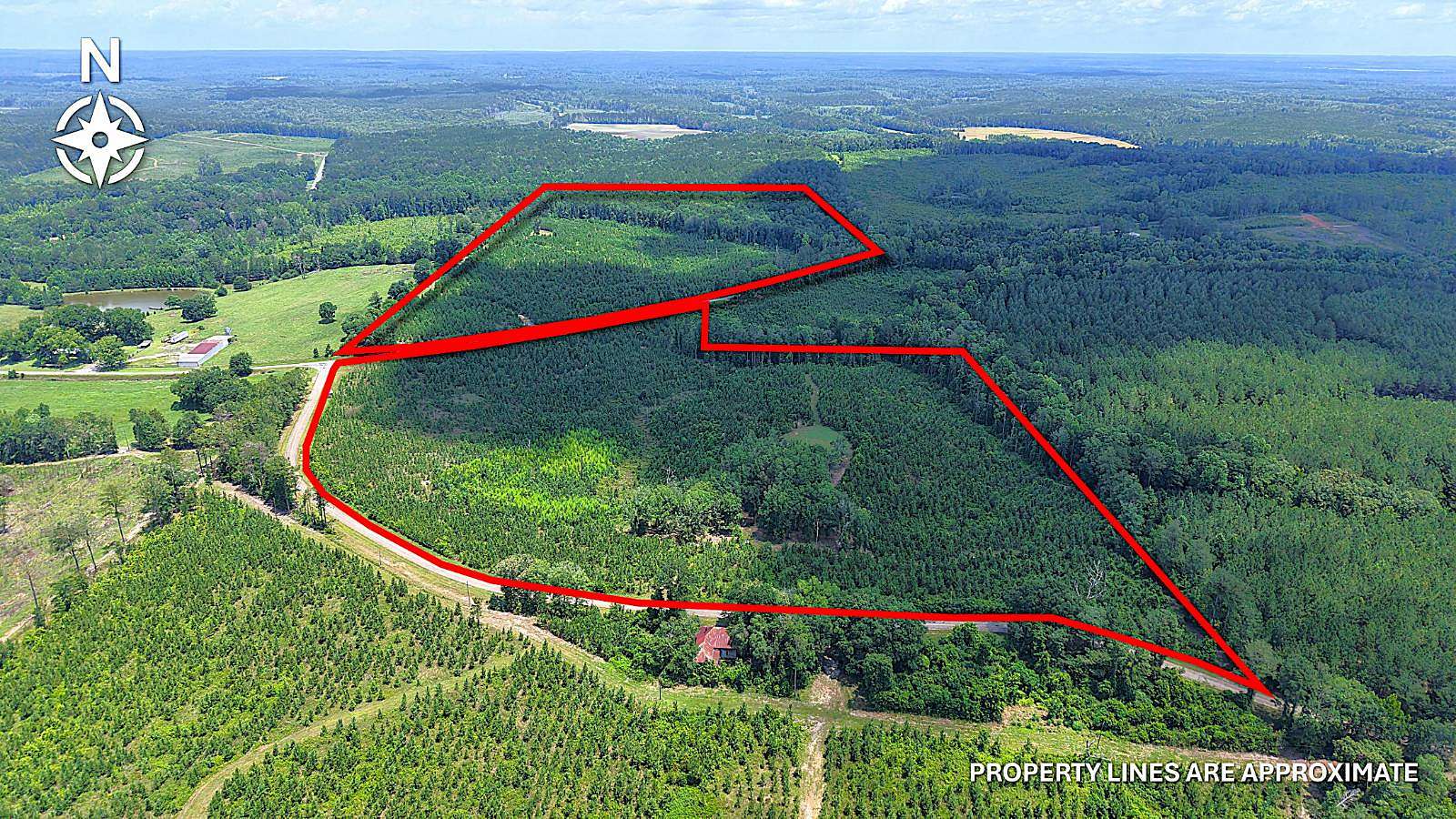 76.6 Acres of Land for Sale in Banks, Alabama