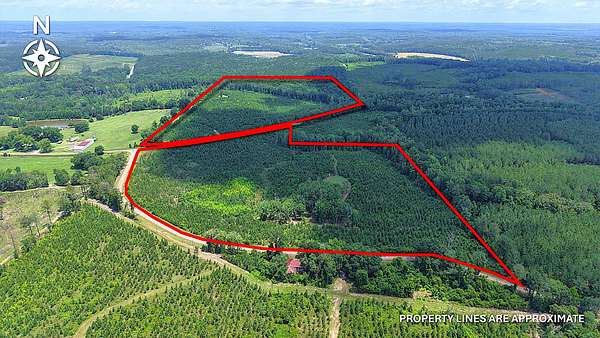 76.6 Acres of Land for Sale in Banks, Alabama