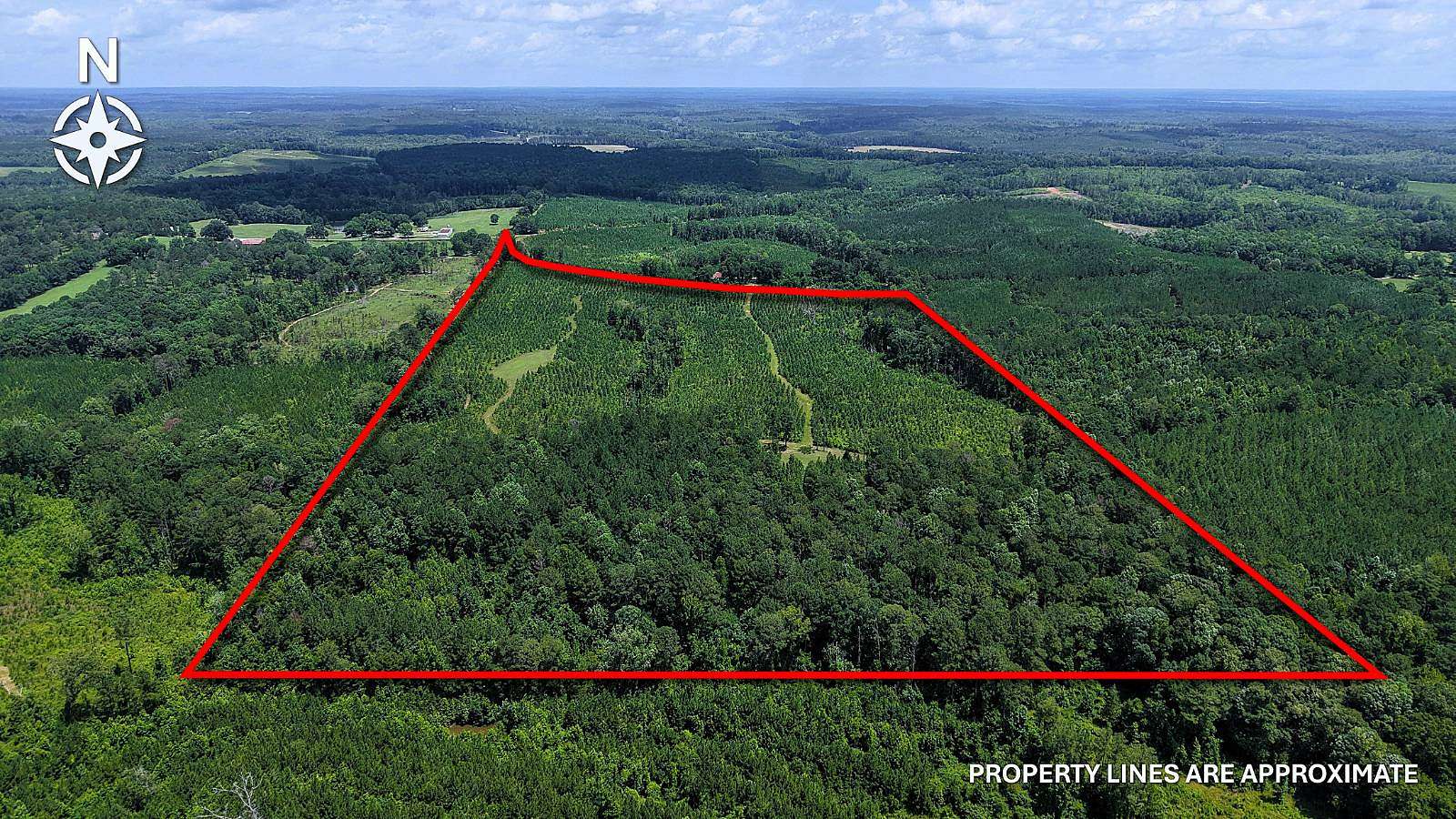 67.1 Acres of Land for Sale in Banks, Alabama