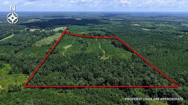 67.1 Acres of Land for Sale in Banks, Alabama