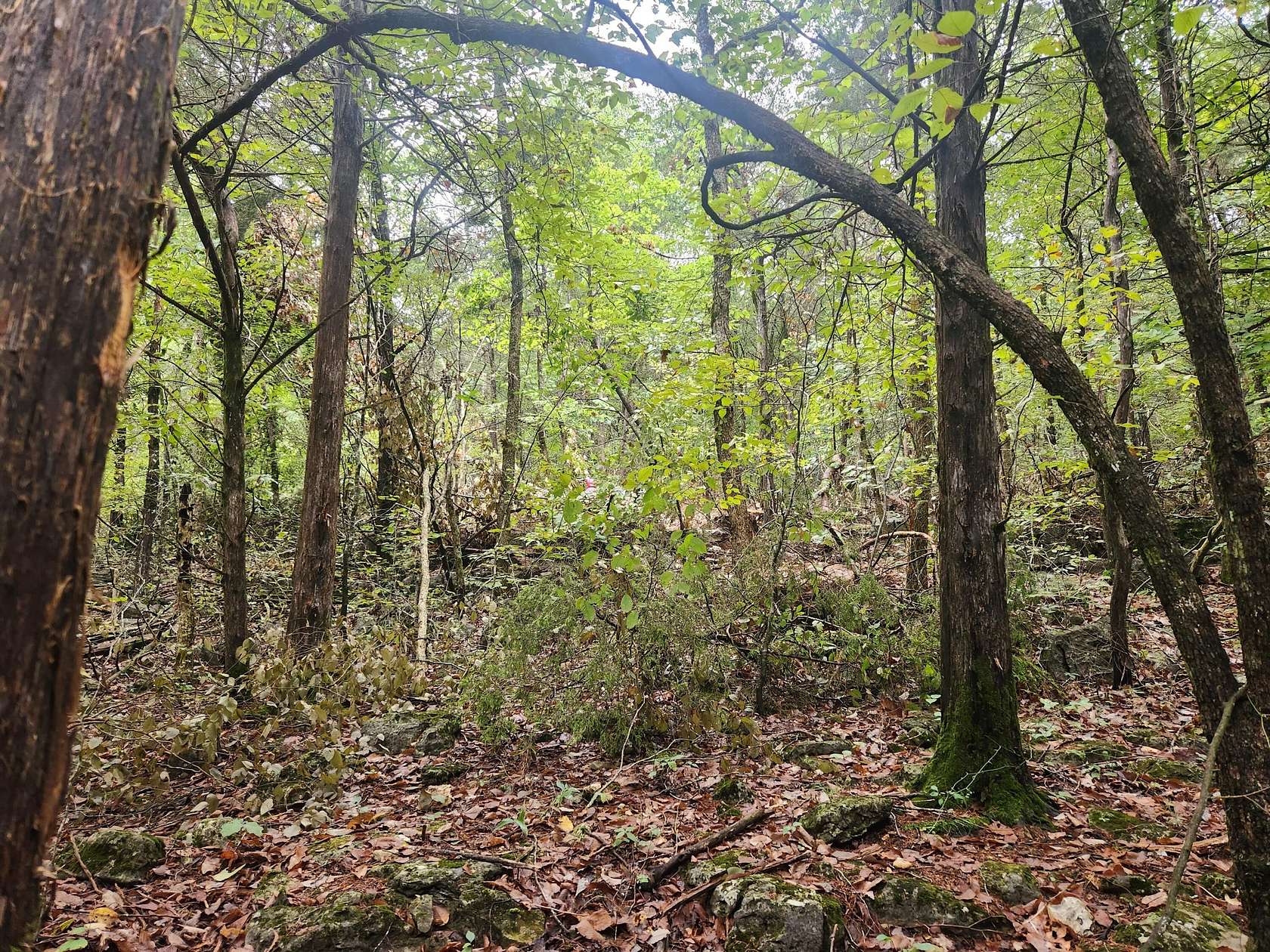 8 Acres of Mixed-Use Land for Sale in Eagle Rock, Missouri