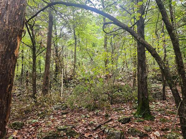 8 Acres of Mixed-Use Land for Sale in Eagle Rock, Missouri