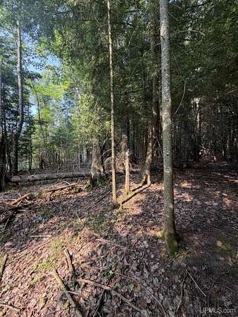 5 Acres of Land for Sale in L'Anse, Michigan