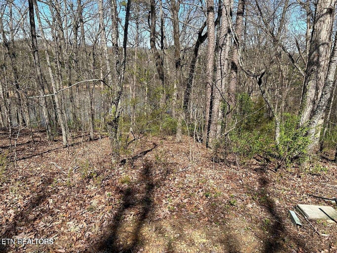 0.45 Acres of Residential Land for Sale in Loudon, Tennessee