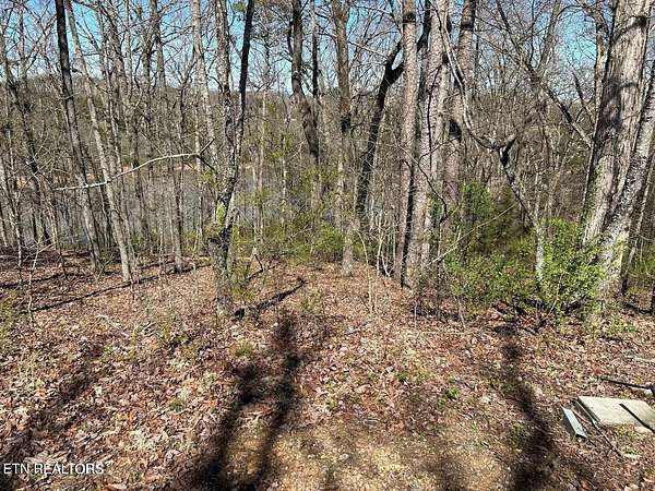 0.45 Acres of Residential Land for Sale in Loudon, Tennessee