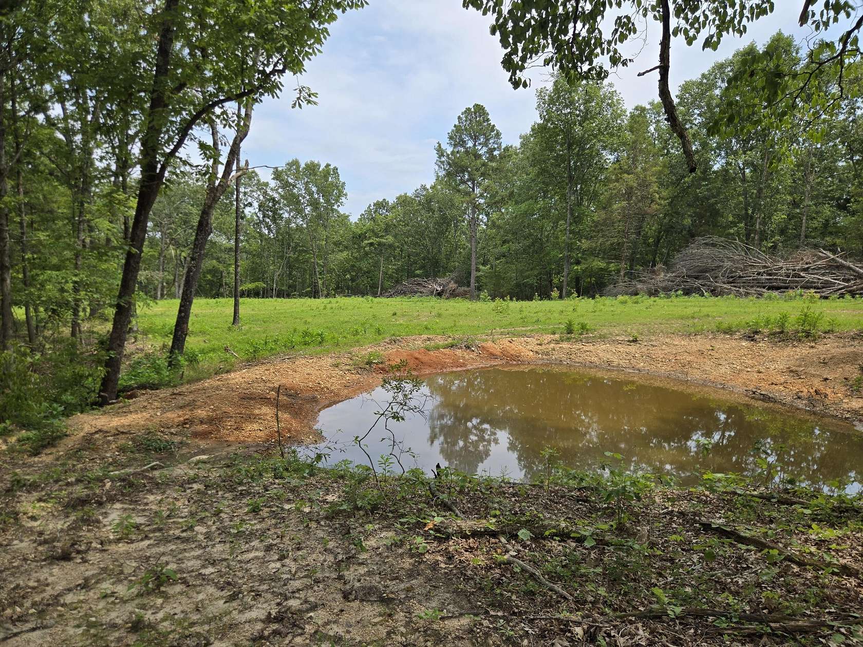 76 Acres of Recreational & Residential Land for Sale in Norwood, Missouri
