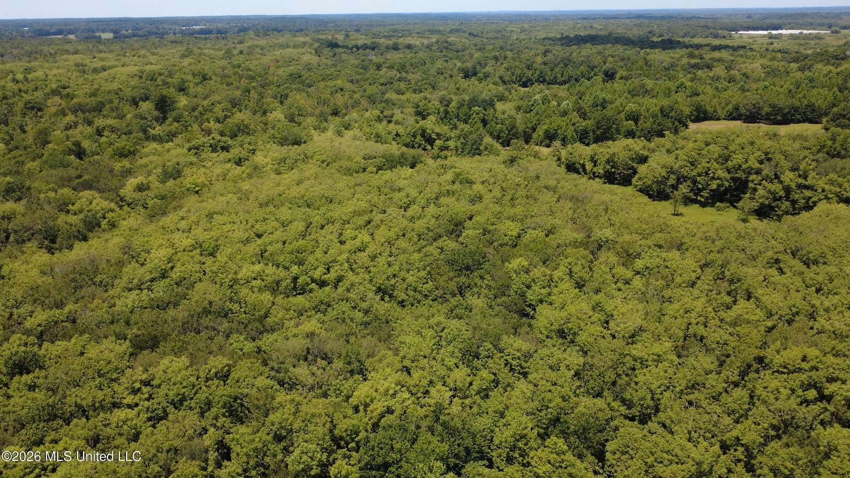 39.5 Acres of Land for Sale in Preston, Mississippi