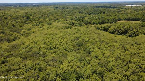 39.5 Acres of Land for Sale in Preston, Mississippi
