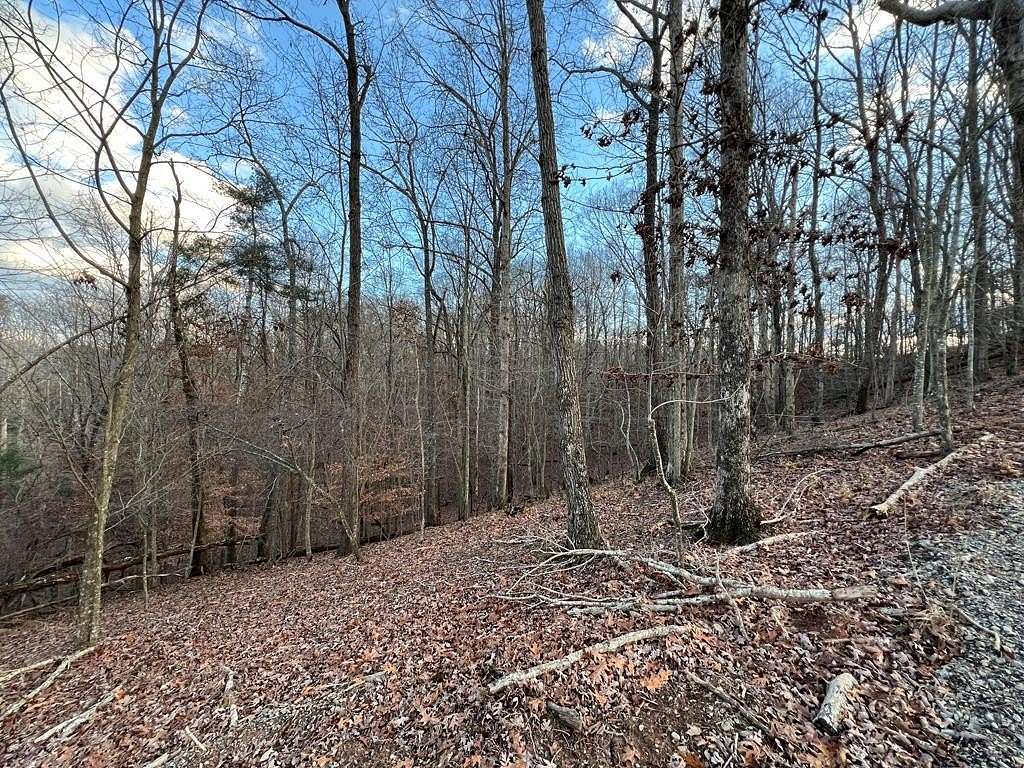 0.72 Acres of Residential Land for Sale in Ellijay, Georgia