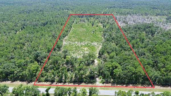 30 Acres of Recreational & Residential Land for Sale in Lamont, Florida