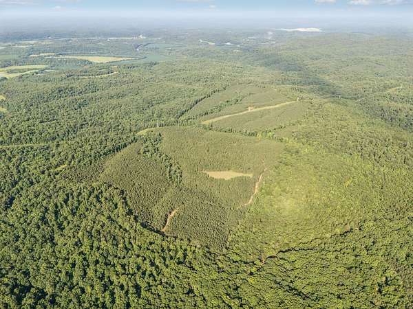 173 Acres of Land for Sale in Nunnelly, Tennessee