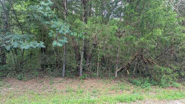 6.5 Acres of Residential Land for Sale in Guntown, Mississippi