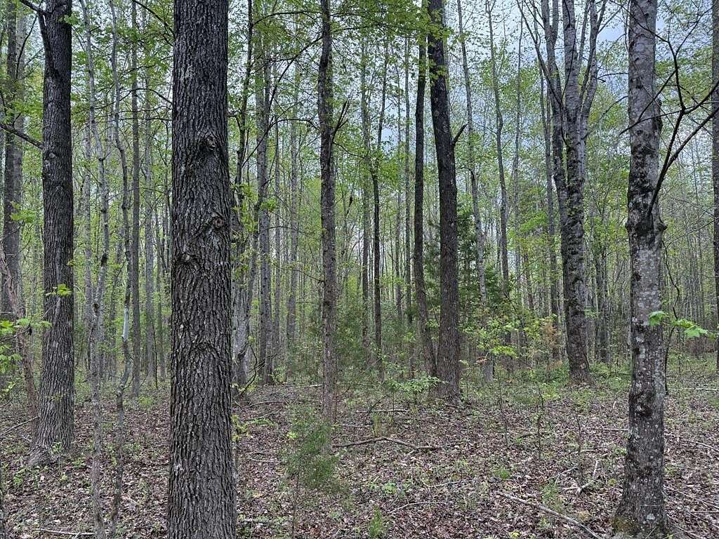 34.1 Acres of Land for Sale in Dillwyn, Virginia