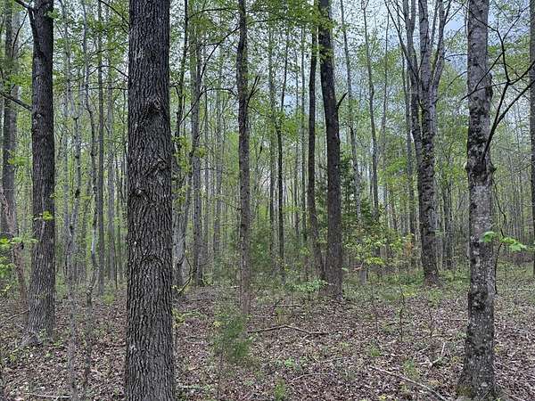 34.1 Acres of Land for Sale in Dillwyn, Virginia