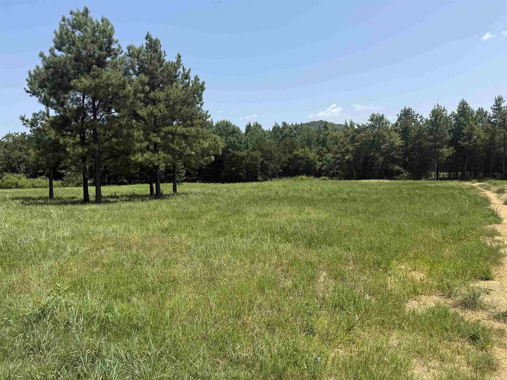 9.5 Acres of Land for Sale in Lamar, Arkansas