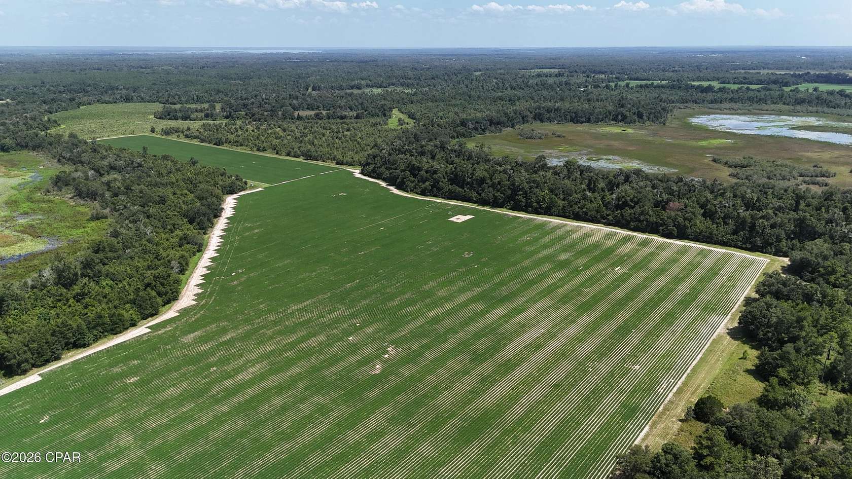 41 Acres of Agricultural & Residential Land for Sale in Grand Ridge, Florida
