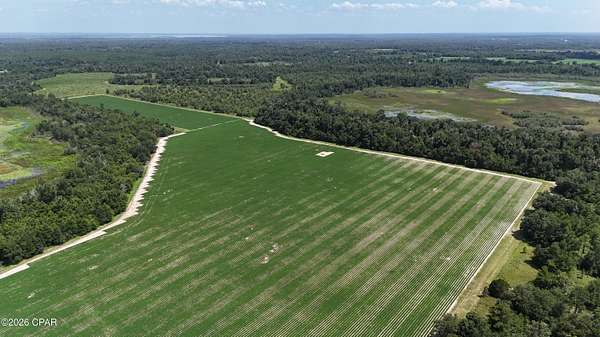41 Acres of Agricultural & Residential Land for Sale in Grand Ridge, Florida