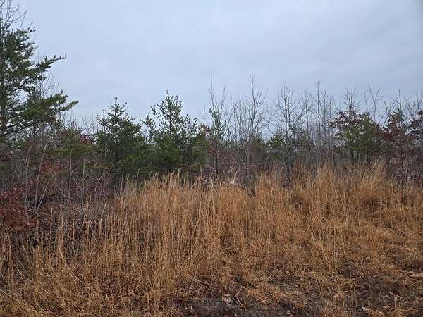6.22 Acres of Land for Sale in Green Bay, Virginia